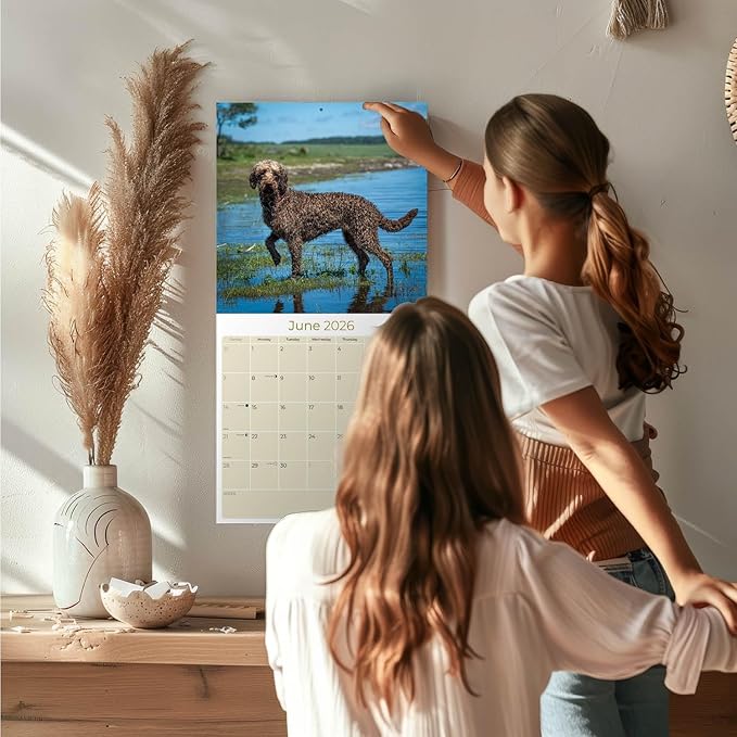 Labradoodle Calendar 2026 by MegaCalendars – Monthly Dog Breed Wall Calendar, Made in USA
