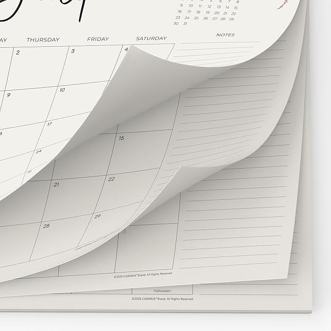 Cabbrix Desk Calendar 2026 with Desktop Mat, Desk Pad Calendar 15"x 12" from July 2026 to December 2027, Desk Calendar for Home Office and School, Easy Planning, Blue
