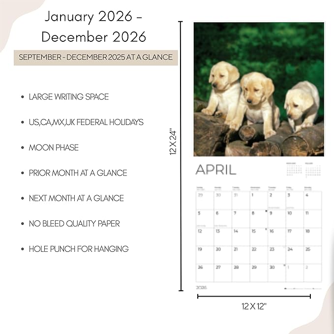 2026 Yellow Labrador Puppy Wall Calendar | 12" x 24" Open | Dog Photography Thick & Sturdy Paper for Organizing & Planning | Office Kitchen Decor or Gift | Pacific Waters Press (Yellow Lab Puppies)