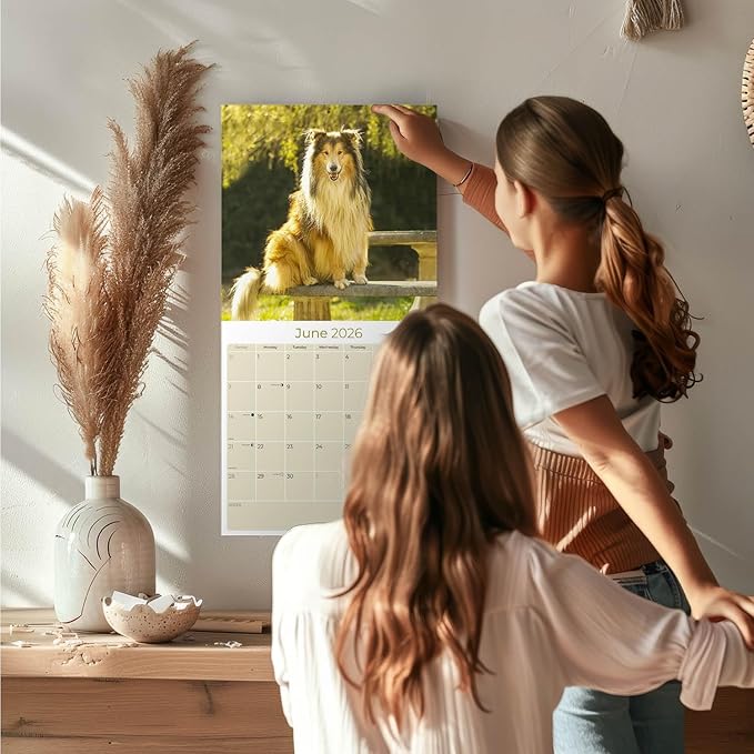 Collie Calendar 2026 by MegaCalendars – Monthly Dog Breed Wall Calendar, Made in USA