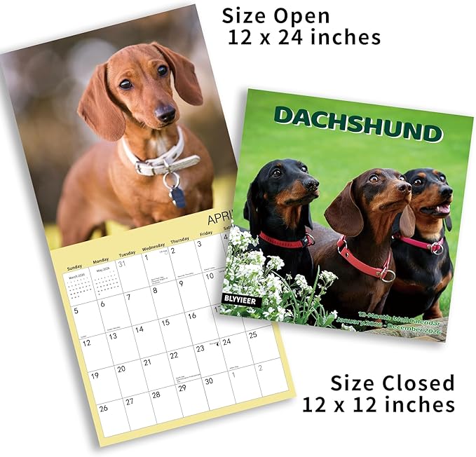 2026 Wall Calendar,Dachshund Wall Calendar, 12" x 24" Open,Family Planner Calendar Organizer with Dachshund Images, for Dogs Lovers