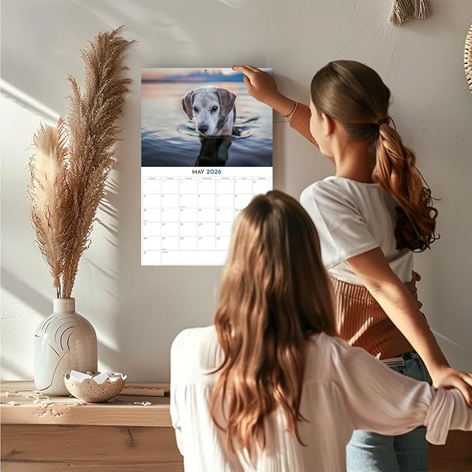 2025 2026 Beagle Calendar - Dog Breed Monthly Wall Calendar - 12" x 18" Open - Thick No-Bleed Paper - Giftable - Academic Teacher's Planner Calendar Organizing & Planning - Made in USA