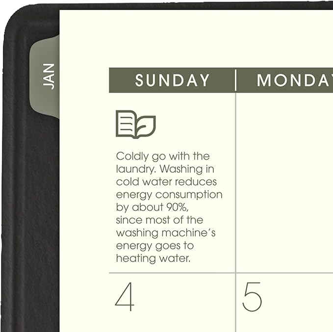 AT-A-GLANCE 2026 Appointment Book Planner, Weekly & Monthly, 5" x 8", Small, Hourly, Recycled, Black (70100G0526)
