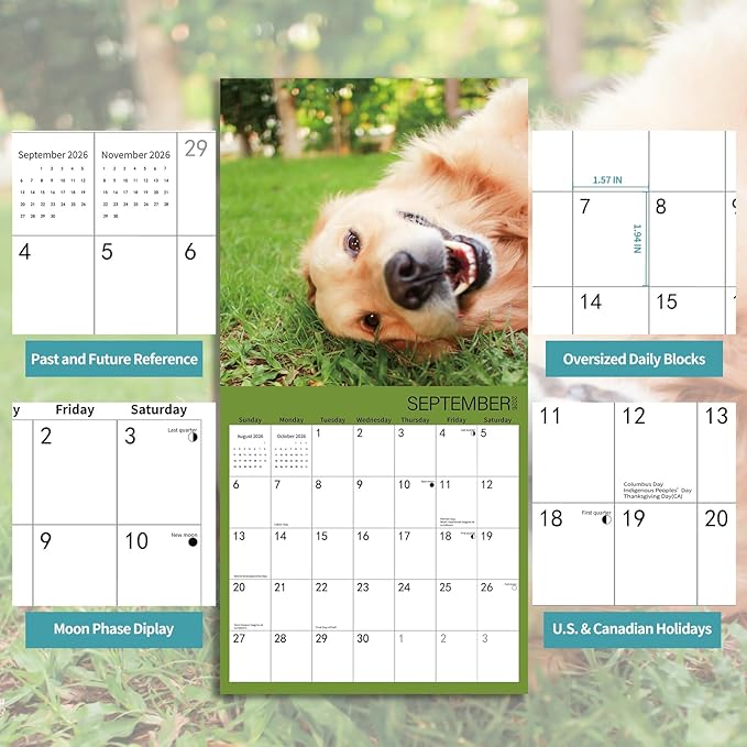 Dog Selfies 2026 Wall Calendar | 12" x 24" Open Hangable Monthly | Thick & Sturdy Paper | Funny Dogs | Family Planner Calendar