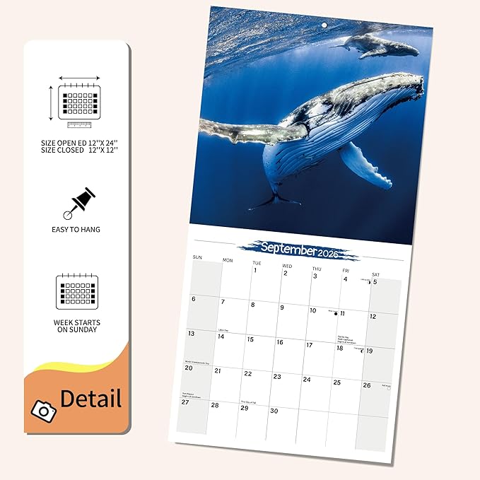 2026 Wall Calendar Whale Planner Calendar, Hangable Monthly Wall Calendar with Large Blocks for Organizing & Planning, Academic Schedule, Home, Office & family, Thick & Sturdy Paper (12"x24" Open)