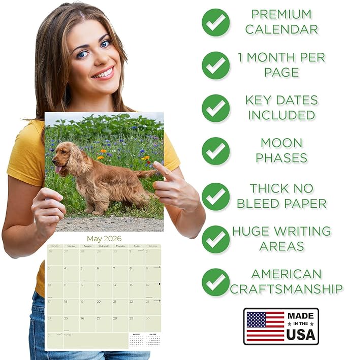 English Cocker Spaniel Calendar 2026 by MegaCalendars – Monthly Dog Breed Wall Calendar, Made in USA