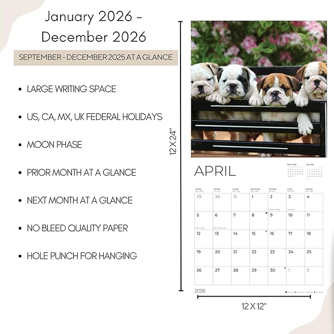 Bulldog Puppy 2026 Wall Calendar | 12" x 24" Open Calendar | Dog Photography Thick & Sturdy Paper for Organizing & Planning | Office Kitchen Decor or Gift | Pacific Waters Press (Bulldog Puppies)