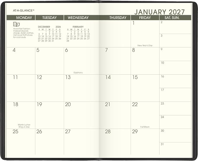 AT-A-GLANCE 2027-2028 Planner, 2-Year Monthly Planner, 3.5" x 6", Pocket Size, Unruled Daily Blocks, Recycled Black (70024G0527)