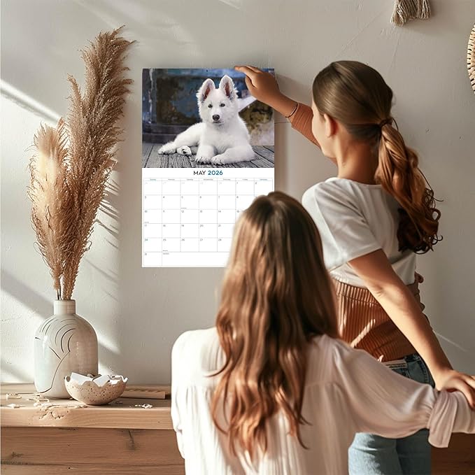 2025 2026 White Shepherd Calendar - Dog Breed Monthly Wall Calendar - 12" x 18" Open - Thick No-Bleed Paper - Giftable - Academic Teacher's Planner Calendar Organizing & Planning