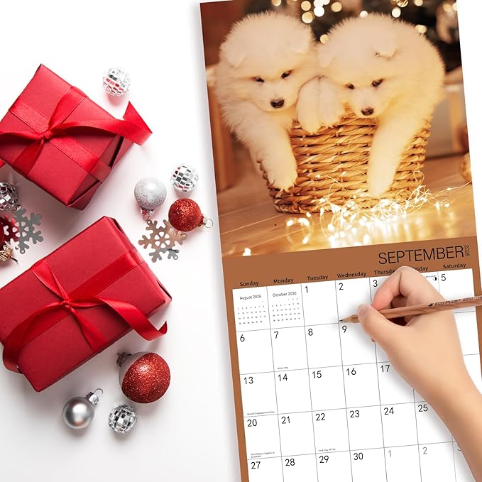 2025-2026 Wall Calendar,Samoyed Wall Calendar, 12" x 24" Open,Family Planner Calendar Organizer with Samoyed Images, for Dogs Lovers