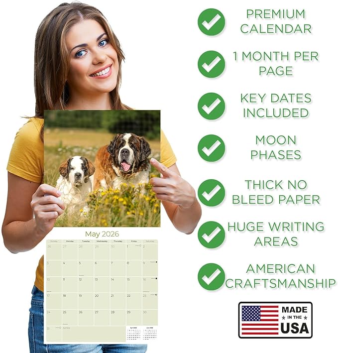 Saint Bernard Calendar 2026 by MegaCalendars – Monthly Dog Breed Wall Calendar, Made in USA