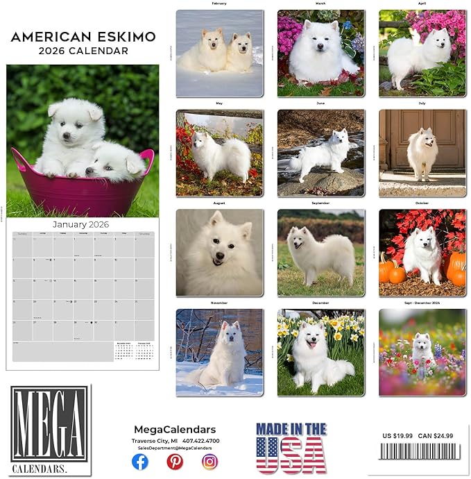 American Eskimo Calendar 2026 – 16-Month Dog Breed Wall Calendar by MegaCalendars – Large Daily Blocks, Thick No-Bleed Paper, Made in USA