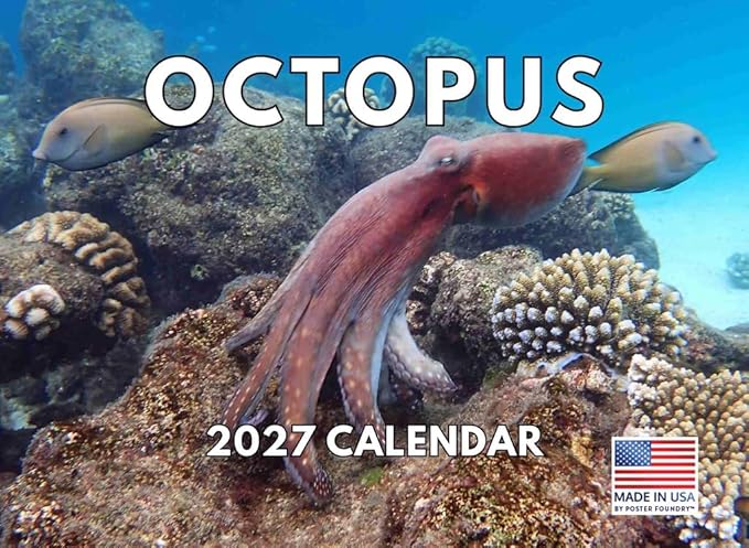 Octopus Calendar 2027 Monthly Wall Calender 12 Month