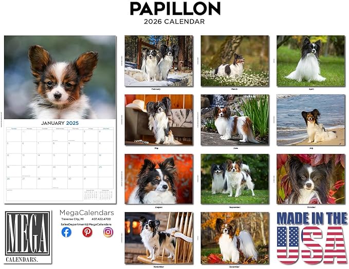 2025 2026 Papillon Calendar - Dog Breed Monthly Wall Calendar - 12" x 18" Open - Thick No-Bleed Paper - Giftable - Academic Teacher's Planner Calendar Organizing & Planning - Made in USA