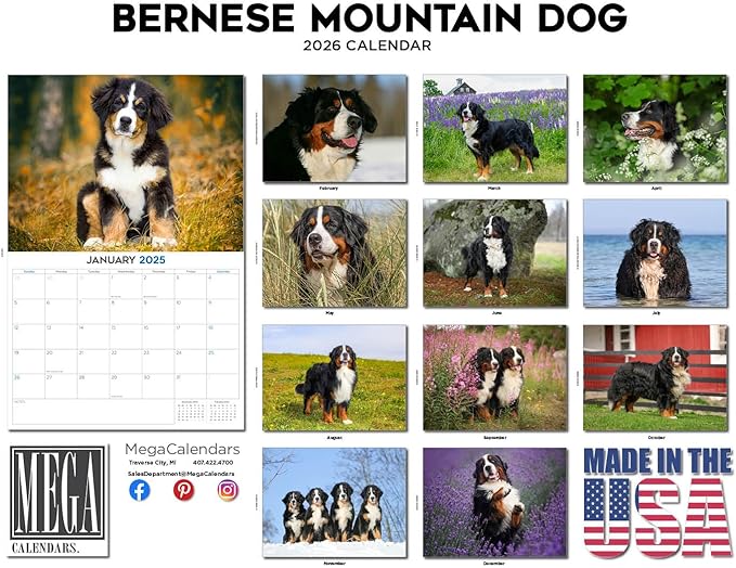 2025 2026 Bernese Mountain Dog Calendar - Dog Breed Monthly Wall Calendar - 12" x 18" Open - Thick No-Bleed Paper - Giftable - Academic Teacher's Planner Calendar Organizing & Planning - Made in USA