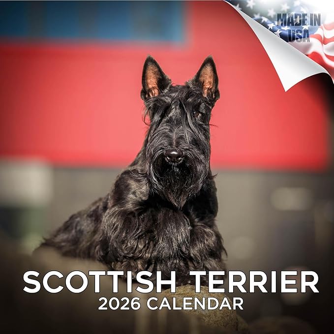 Scottish Terrier Calendar 2026 by MegaCalendars – Monthly Dog Breed Wall Calendar, Made in USA