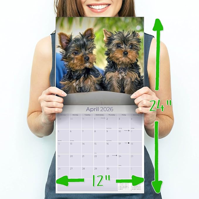 Yorkshire Terrier Puppies Calendar 2026 by MegaCalendars – Monthly Dog Breed Wall Calendar, Made in USA