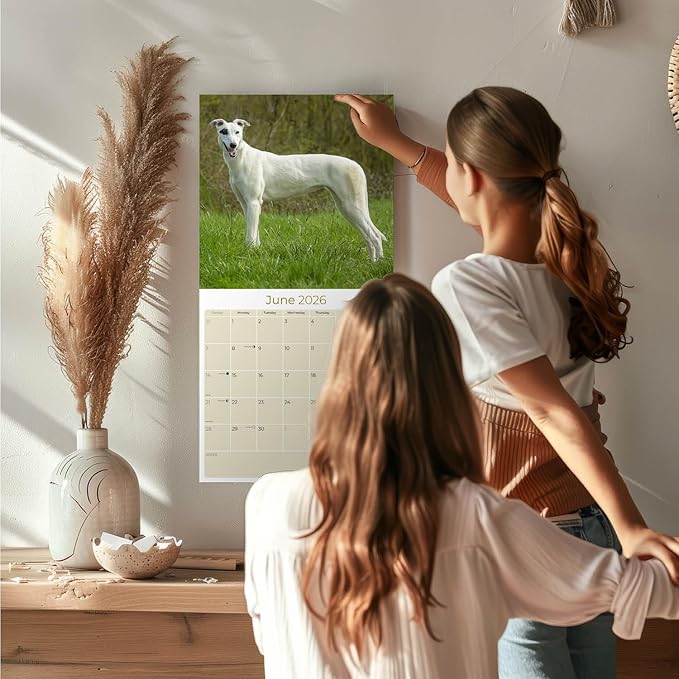 Greyhound Calendar 2026 by MegaCalendars – Monthly Dog Breed Wall Calendar, Made in USA