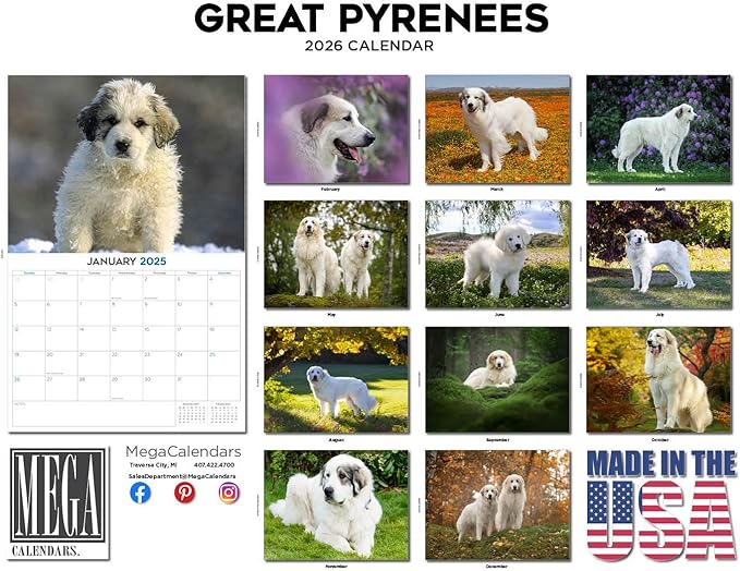 2025 2026 Great Pyrenese Calendar - Dog Breed Monthly Wall Calendar - 12" x 18" Open - Thick No-Bleed Paper - Giftable - Academic Teacher's Planner Calendar Organizing & Planning - Made in USA
