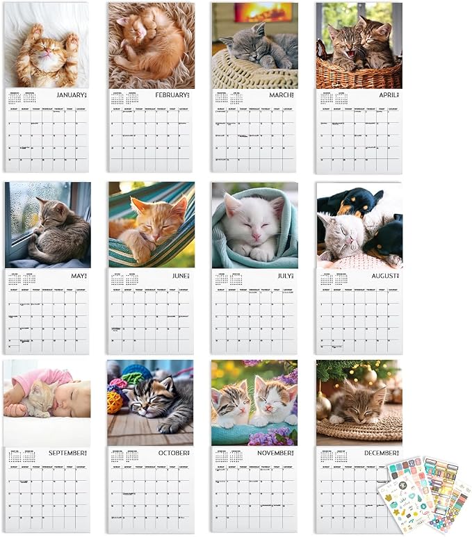 Kitten Calendar 2026, Kitten Square Large Wall Calendar 12 x 12 inch, Yearly Cat Lover's Calendar