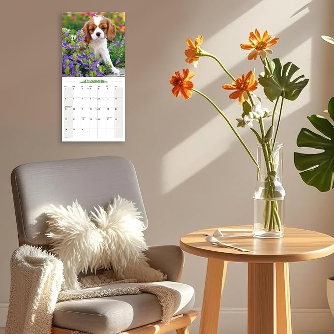 2025-2026 Wall Calendar Cavalier King Charles Spaniel Planner Calendar, Hangable Monthly Wall Calendar with Large Blocks for Organizing & Planning, Academic Schedule, Home, Office & family, Thick & Sturdy Paper (12"x24" Open)