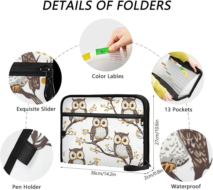 Branch Owl File Folders, Plastic Folders with 13 Pockets, Expandable File Folder for Documents School Students Office, Aesthetic Folder with Labels A4 Letter Size