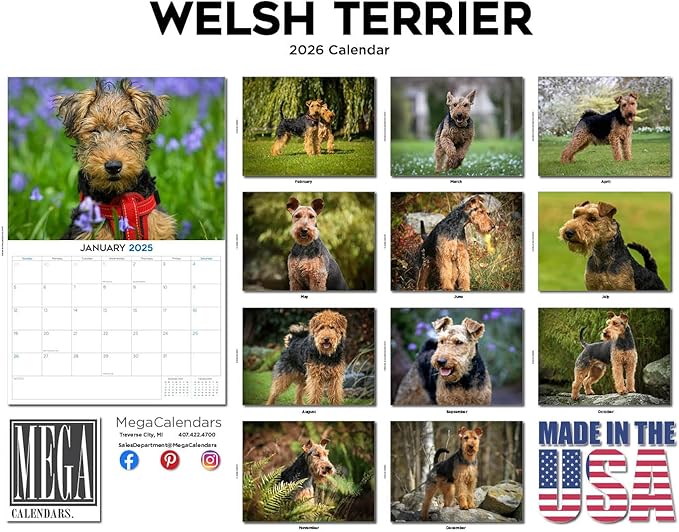 2025 2026 Welsh Terrier Calendar - Dog Breed Monthly Wall Calendar - 12" x 18" Open - Thick No-Bleed Paper - Giftable - Academic Teacher's Planner Calendar Organizing & Planning