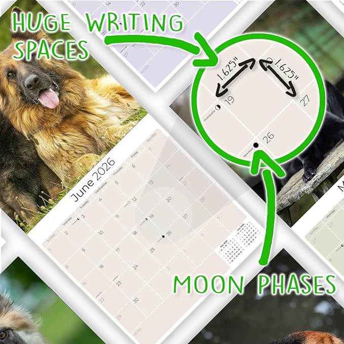 German Shepherd Calendar 2027 – Dog Calendar 2027 Wall Calendar, 16 Month Wall Planner, Large Writing Blocks, Thick No Bleed Paper, Made in USA, Dog Lover Gift