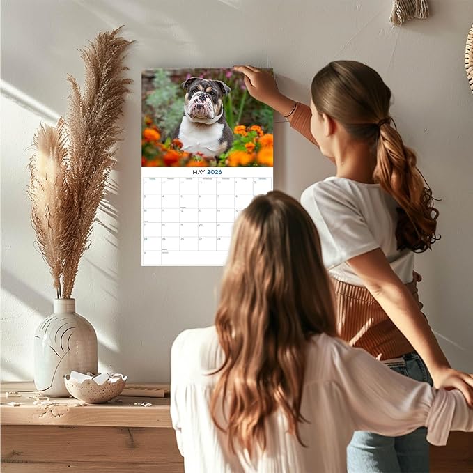 2025 2026 Bulldog Calendar - Dog Breed Monthly Wall Calendar - 12" x 18" Open - Thick No-Bleed Paper - Giftable - Academic Teacher's Planner Calendar Organizing & Planning - Made in USA