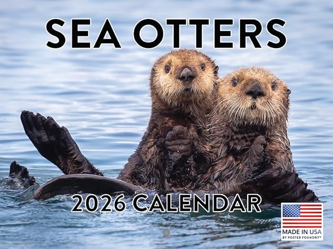 Sea Otter Calendar 2026 Wall 12 Month Sea Otters Gifts For Sea Otter Lovers Women Men Monthly Calender| American Made In The USA