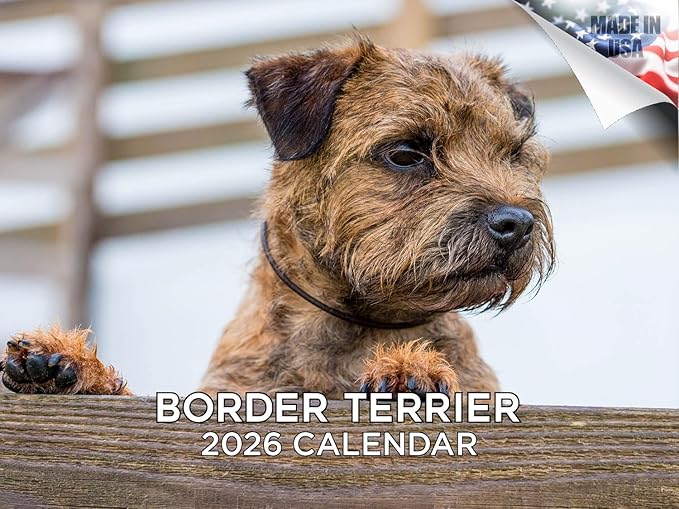 2025 2026 Border Terrier Calendar - Dog Breed Monthly Wall Calendar - 12" x 18" Open - Thick No-Bleed Paper - Giftable - Academic Teacher's Planner Calendar Organizing & Planning - Made in USA
