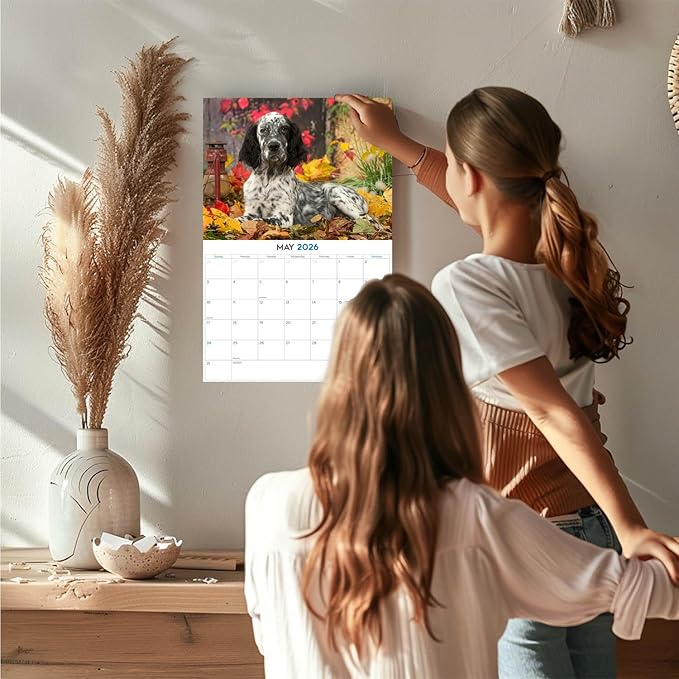 2025 2026 English Setter Calendar - Dog Breed Monthly Wall Calendar - 12" x 18" Open - Thick No-Bleed Paper - Giftable - Academic Teacher's Planner Calendar Organizing & Planning - Made in USA