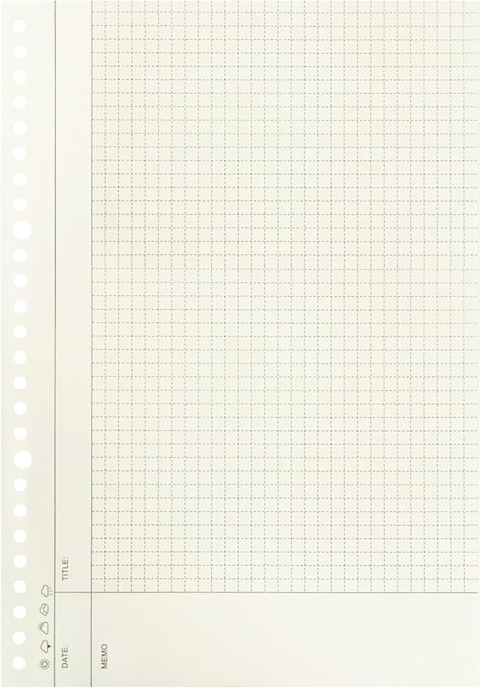 Zelten 2 Pack B5 120 Sheets/240 Pages Connell Blank Loose Leaf Punched Paper Refills Paper for 26 Hole Binder Personal Organizer Diary Notebook Refillable Planner