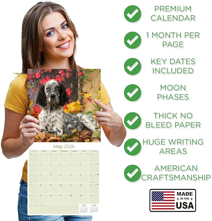 English Setter Calendar 2026 by MegaCalendars – Monthly Dog Breed Wall Calendar, Made in USA