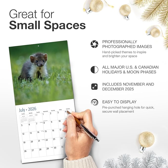 RED EMBER Select - Baby Animals 2026 Mini Wall Calendar 12 Month | 7" x 14" Open | Thick & Sturdy Paper | Giftable | Wild Cute Kids Baby Animals Calendar 2026