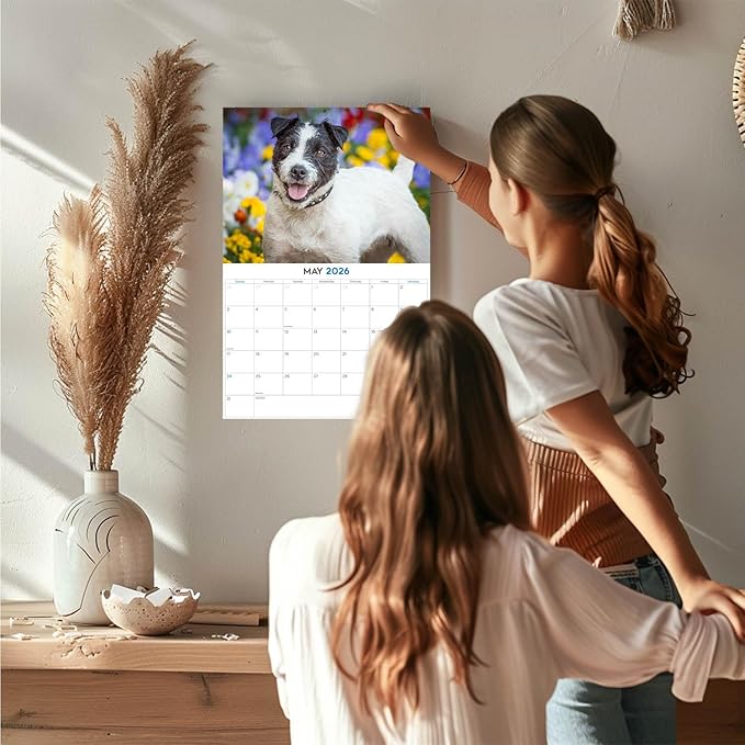 2025 2026 Jack Russell Calendar - Dog Breed Monthly Wall Calendar - 12" x 18" Open - Thick No-Bleed Paper - Giftable - Academic Teacher's Planner Calendar Organizing & Planning - Made in USA