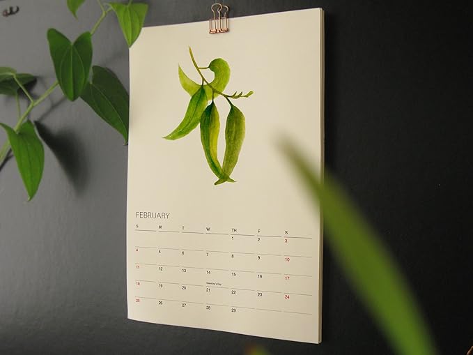 Tropical Plant - 2025 Botanical Watercolor Art Wall Calendar, Foliage Painting Planner, Christmas Gift for Plant Lover, A4 21 x 29.7 cm (1)