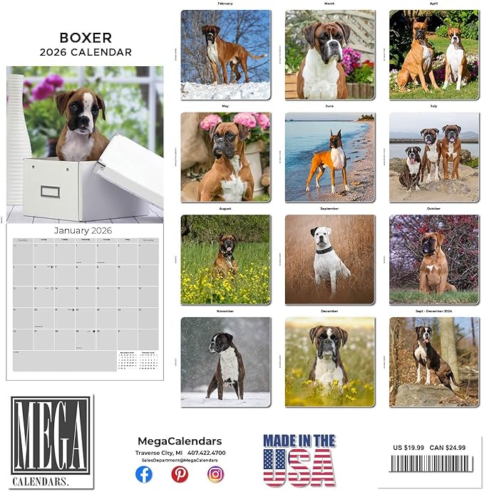 Boxer Calendar 2026 by MegaCalendars – Monthly Dog Breed Wall Calendar, Made in USA
