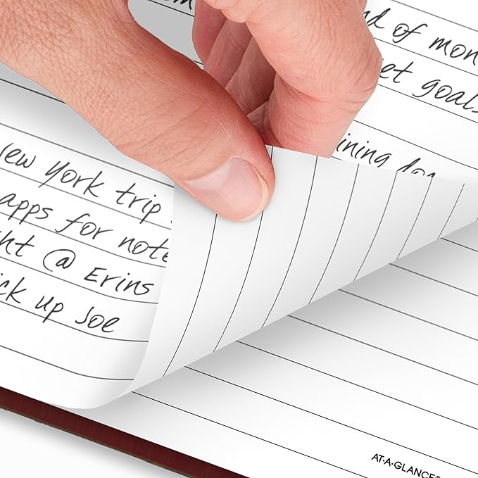 AT-A-GLANCE 2026 Standard Daily Planner, 7-3/4" x 12", Large, 12-Month, Hardcover, Red (SD3761326)