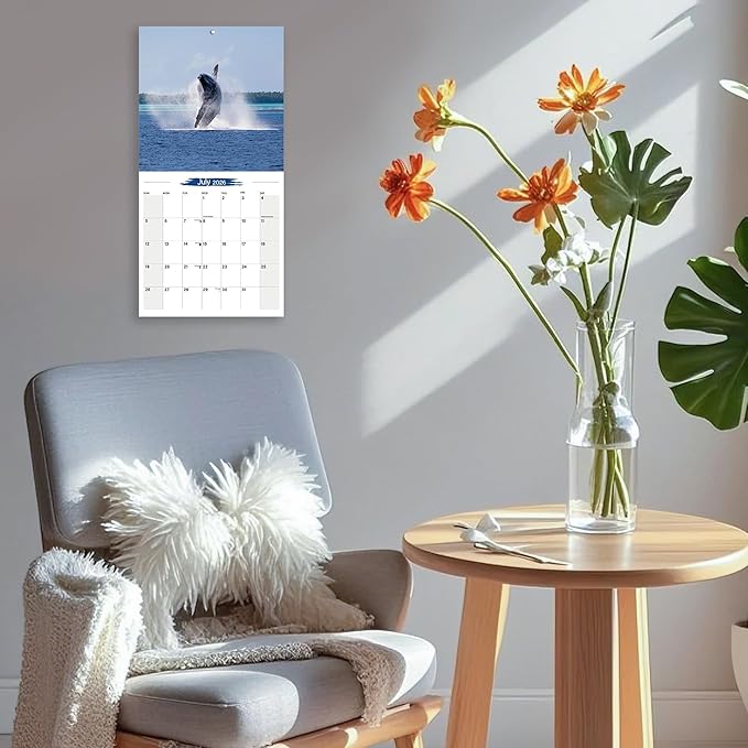 2026 Wall Calendar Whale Planner Calendar, Hangable Monthly Wall Calendar with Large Blocks for Organizing & Planning, Academic Schedule, Home, Office & family, Thick & Sturdy Paper (12"x24" Open)