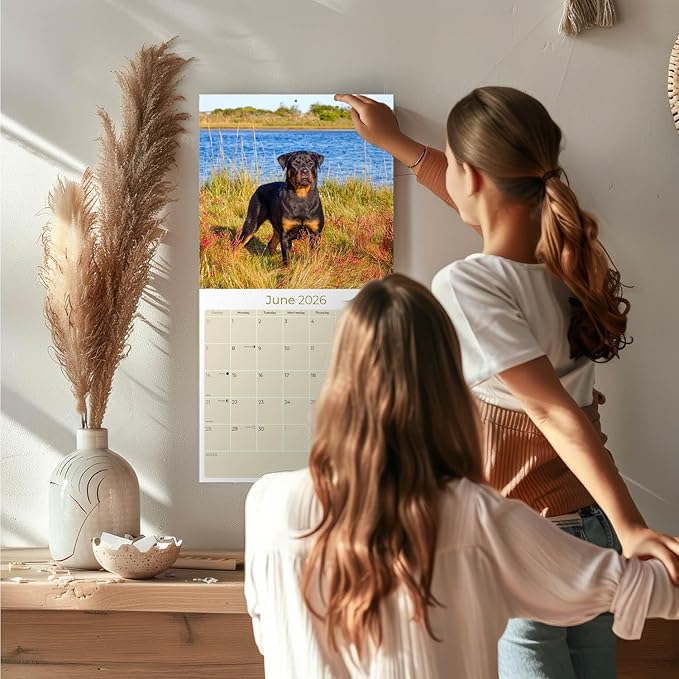 Rottweiler Calendar 2026 by MegaCalendars – Monthly Dog Breed Wall Calendar, Made in USA