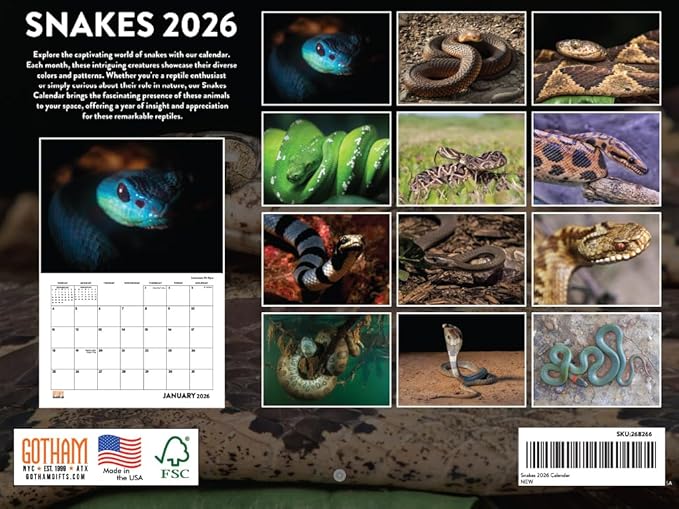 Snake Calendar 2026 Snakes Monthly Wall Calender 12 Month | American Made In The USA