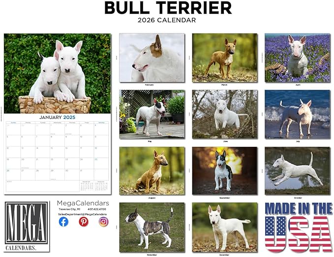 2025 2026 Bull Terrier Calendar - Dog Breed Monthly Wall Calendar - 12" x 18" Open - Thick No-Bleed Paper - Giftable - Academic Teacher's Planner Calendar Organizing & Planning - Made in USA