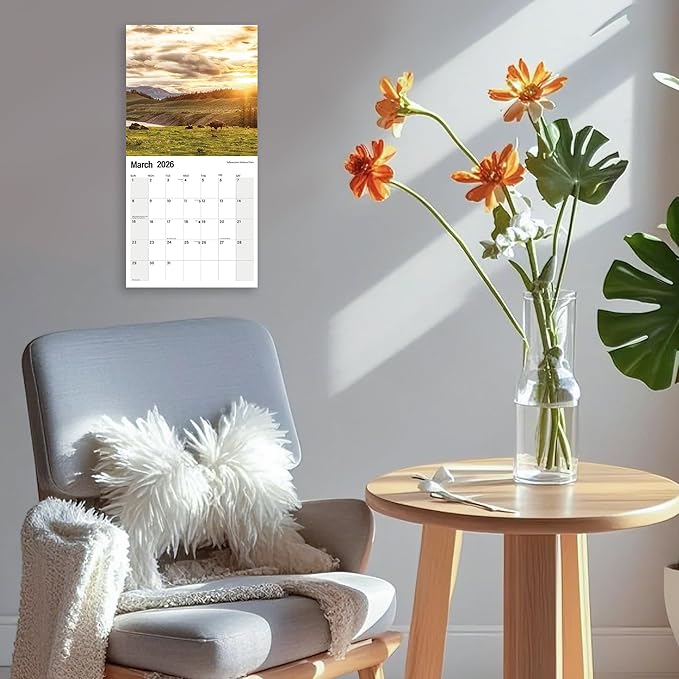 Wall Calendar 2025-2026 Planner Calendar - America National Park Hangable Monthly Wall Calendar with Large Blocks for Organizing & Planning, Academic Schedule, Home, Office & family, Thick & Sturdy Paper (12"x24" Open)