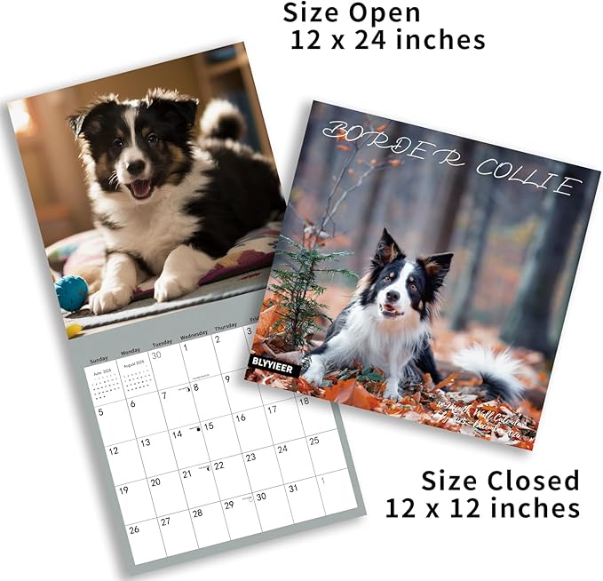 2025-2026 Wall Calendar,Border Collie Wall Calendar, 12" x 24" Open,Family Planner Calendar Organizer withBorder Collie Images, for Dogs Lovers