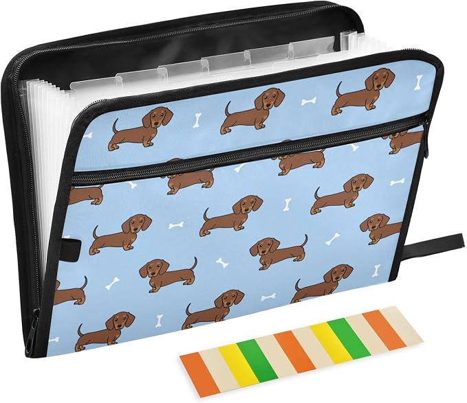 Dachshund Dog Cartoon File Folders,Plastic Folders with 13 Pockets,Expandable File Folder for Documents School Students Office,Aesthetic Folder with Labels A4 Letter Size