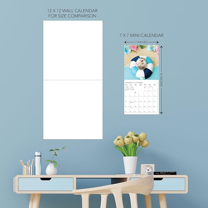 Graphique 2026 Happiest Hedgehogs Mini Wall Calendar | 7” x 7” | Thick Paper | Home & Office Organizer | Large Monthly Grid | 3 Languages & Marked Holidays | 4 Month Preview Page for 2027