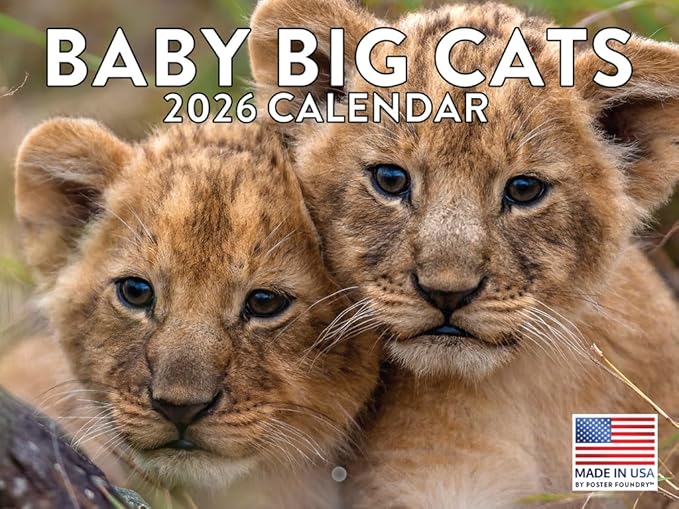 Baby Big Cat Calendar 2026 Cubs Monthly Wall Calender 12 Month | American Made In The USA