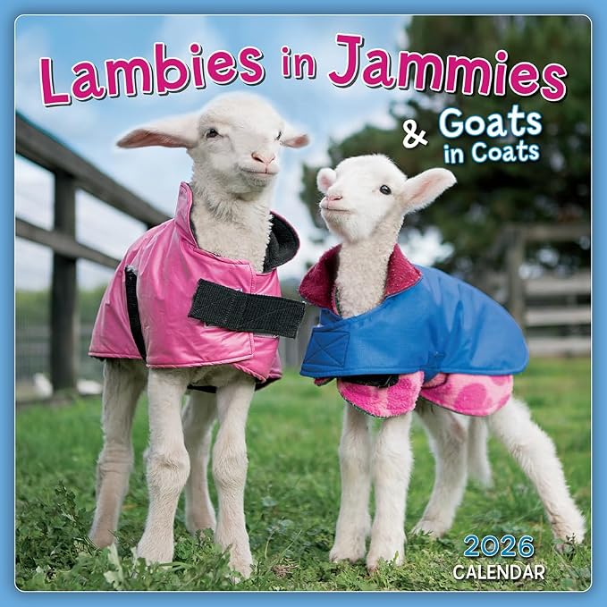 Lambies in Jammies & Goats in Coats 2026 Mini Wall Calendar, Cute Farm Animal Photography from Edgar’s Mission Rescue, 7" x 7"