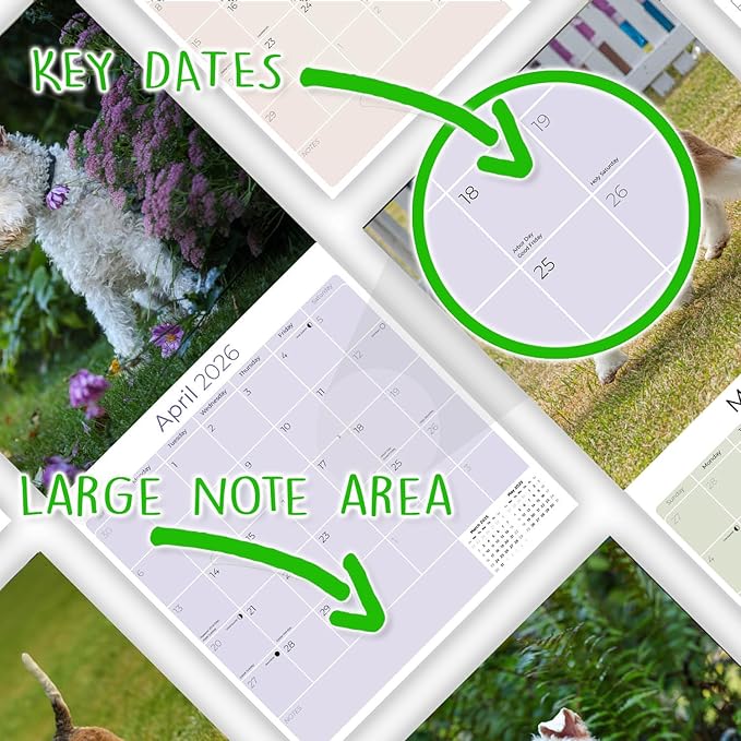 Fox Terrier Wirehaired Calendar 2026 by MegaCalendars – Monthly Dog Breed Wall Calendar, Made in USA